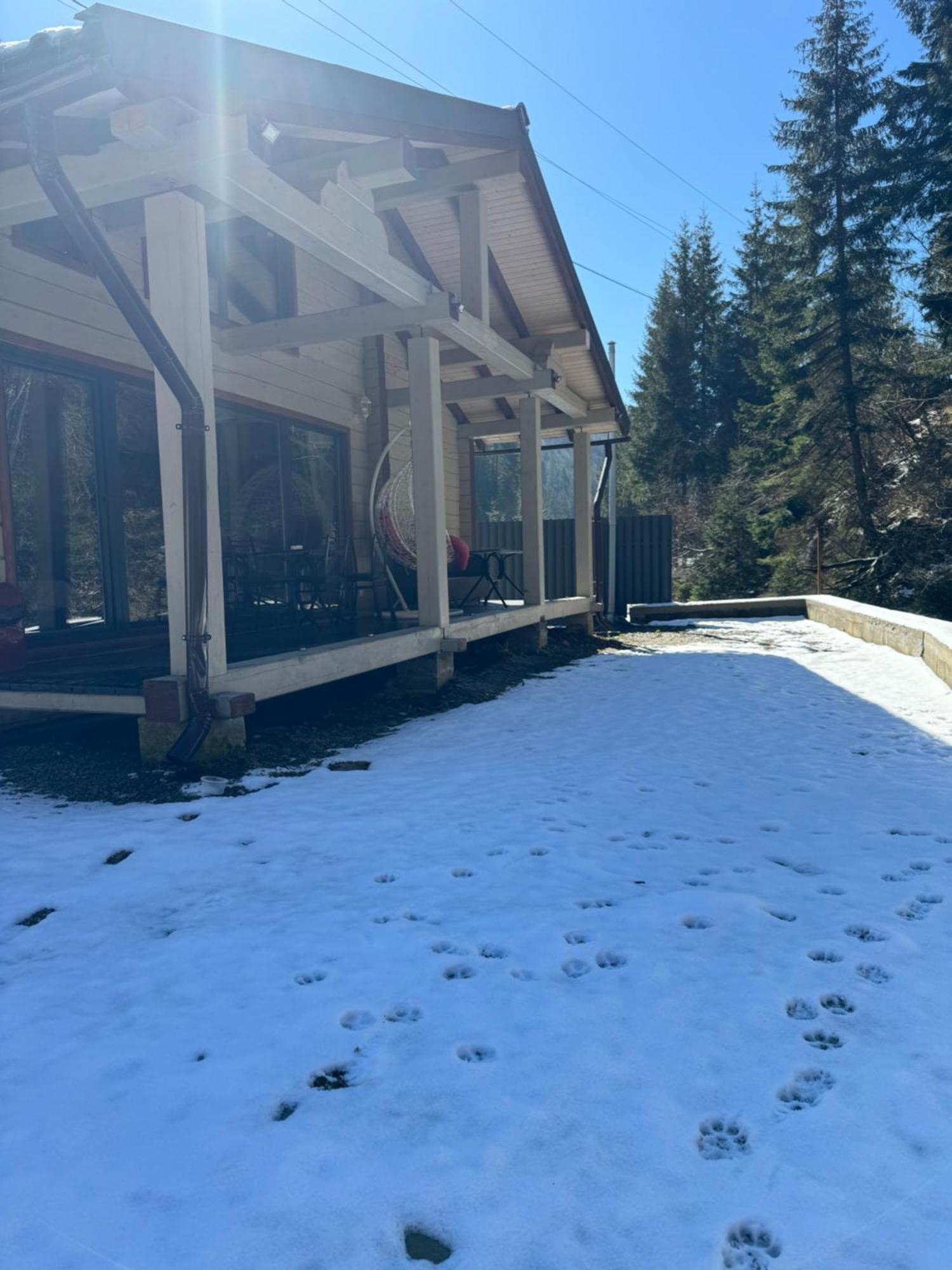 Hotel Berloga-Sinevir Synevyrsʼka Polyana Εξωτερικό φωτογραφία